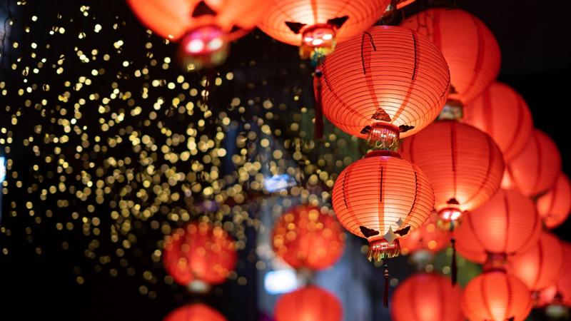 Chinese New Year greetings and festive phrases - Banner