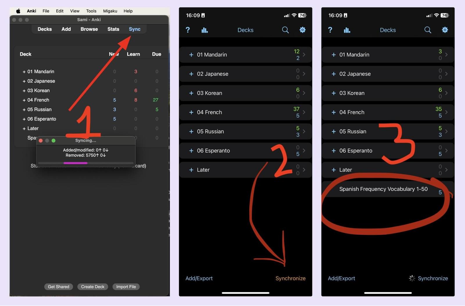 A screenshot how to sync your flashcards between desktop Anki and mobile Anki