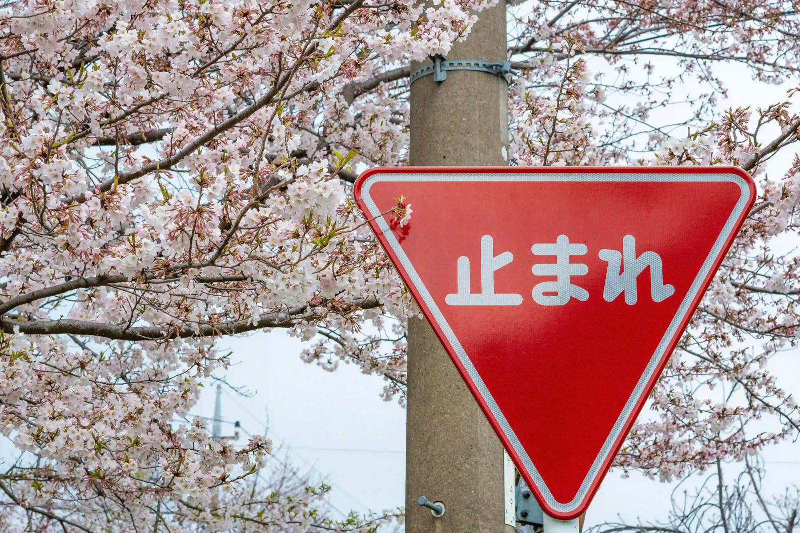 A Japanese sign that says "tomare", featuring a few Hiragana characters.