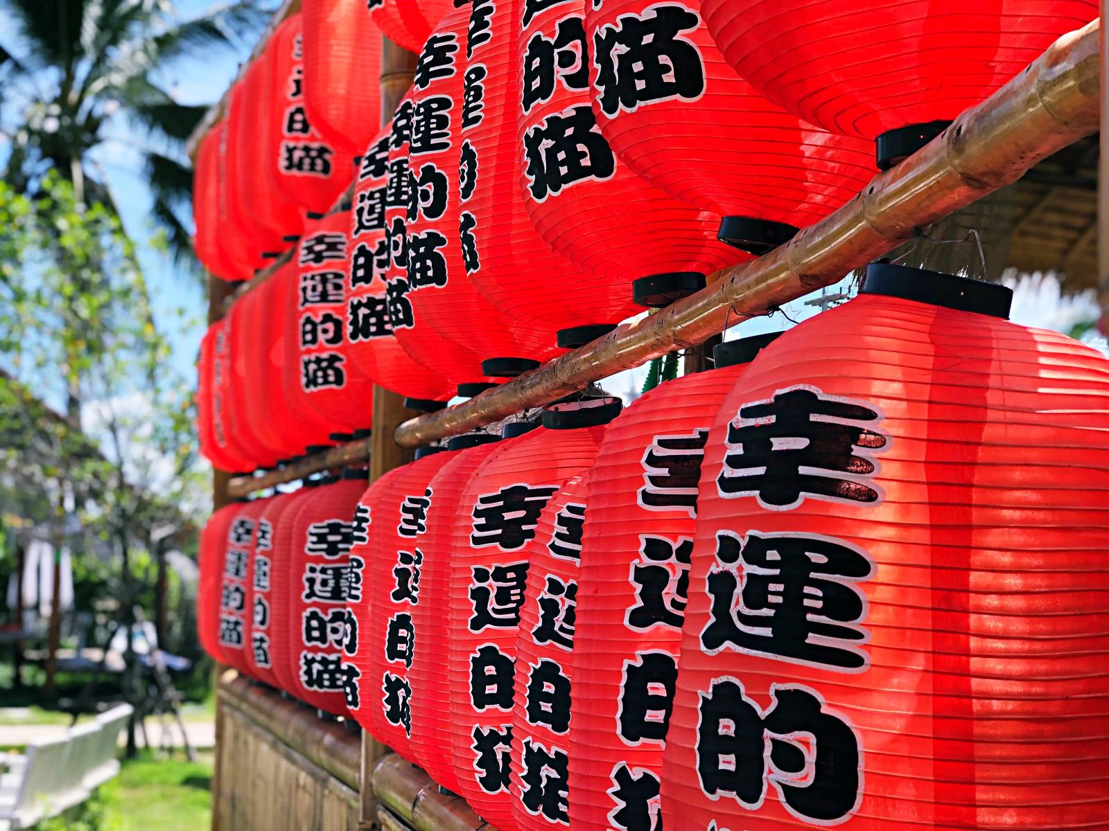 Several Japanese lanterns, each one featuring a few kanji characters.