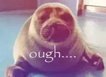 Cómo pronunciar palabras con ough en inglés: through, though, cough - Banner