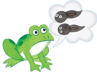 Common Korean idioms and their meanings - Banner