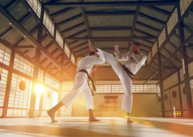 Vocabulario de artes marciales en inglés - Banner