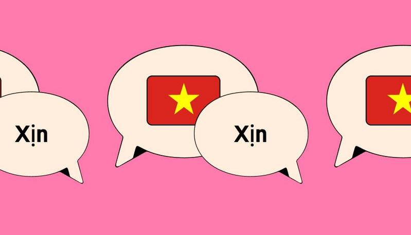vietnamese slang