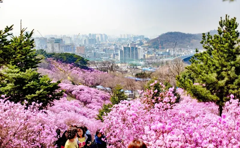 How Korean adjectives work as descriptive verbs - Banner