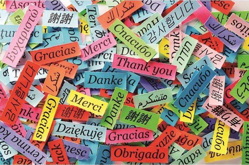 The most useful words to learn first in any language - Banner