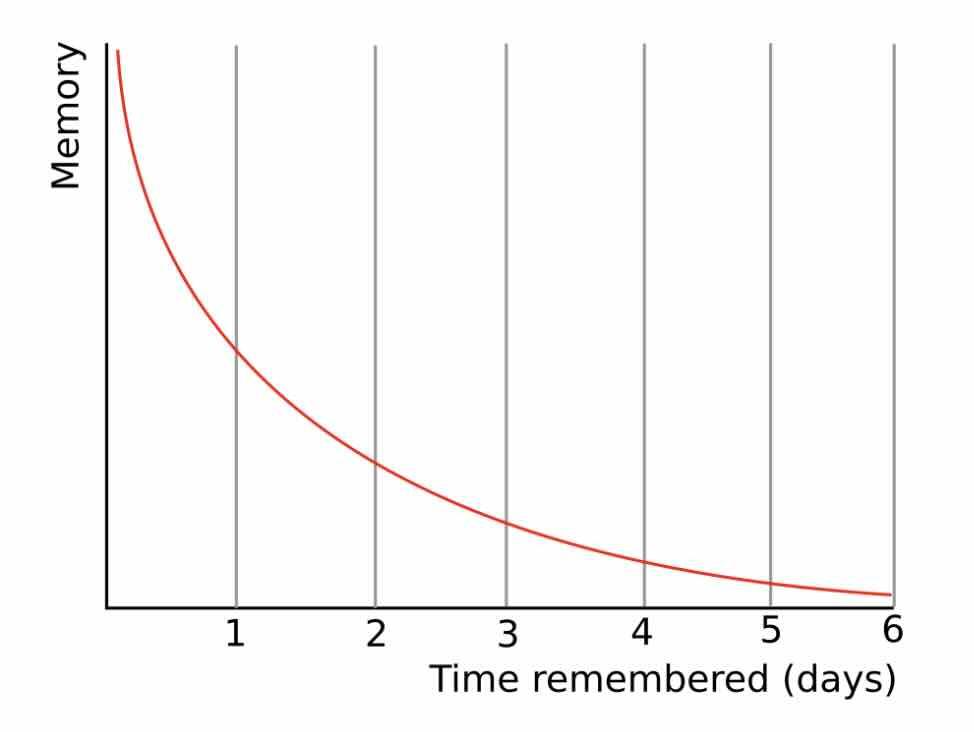 A visualization of the forgetting curve, sourced from Wikipedia