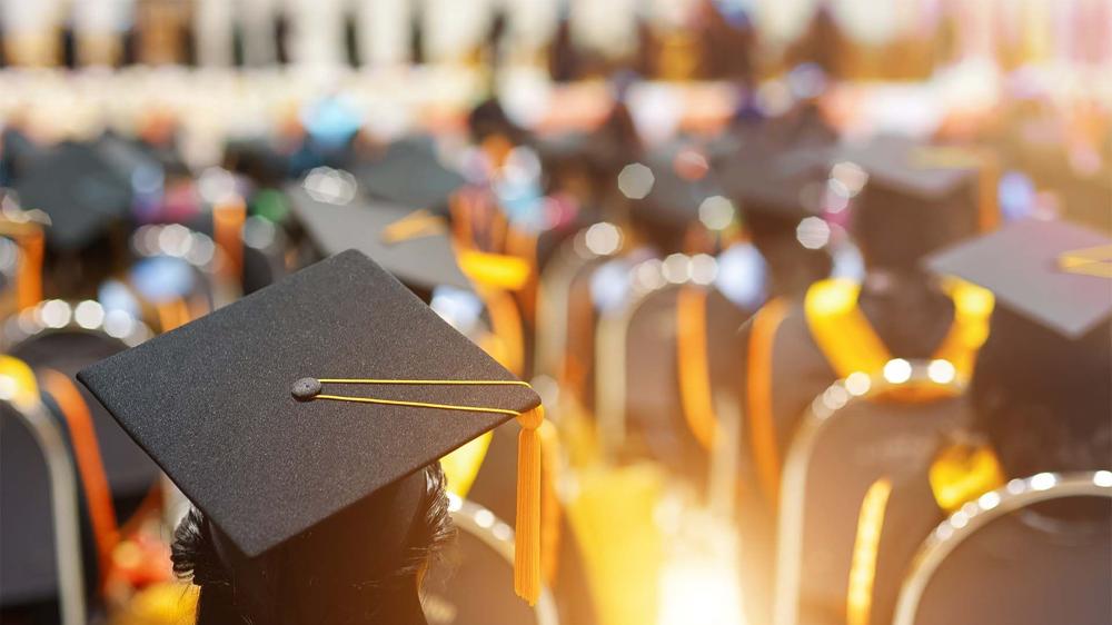 DAAD Scholarships in Germany: Programs, Eligibility, How to Apply