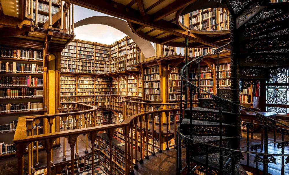 Vocabulario de biblioteca en inglés - Banner