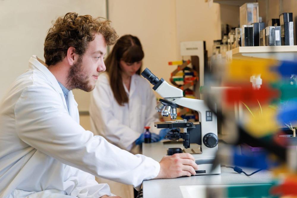 Vocabulario de ciencias en inglés: biology, chemistry, physics - Banner