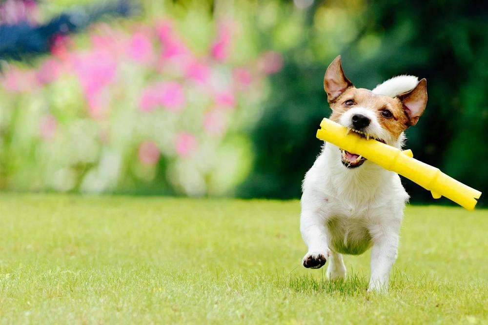 Diferencia entre bring y take en inglés - Banner