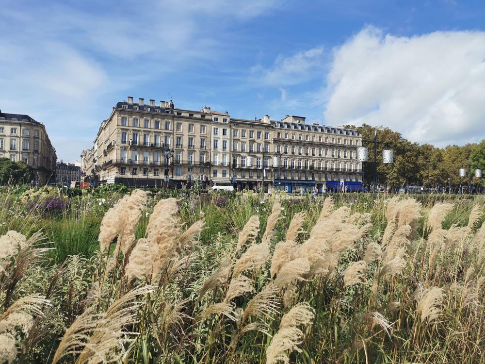 Best Bordeaux Neighborhoods for Young Expats and Wine Lovers