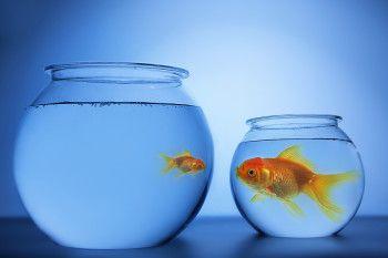 影響力のある人を表すイディオム:大物 - Banner