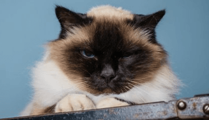 悲観的を表すイディオム:ネガティブ - Banner