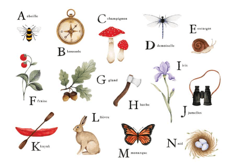The French alphabet with pronunciation and accents - Banner