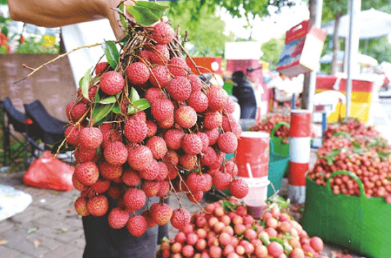 chinese seasons - summar is the season for fruit like lychee
