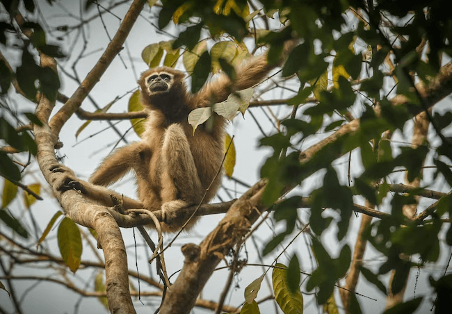 Popular Japanese proverbs and sayings - Banner