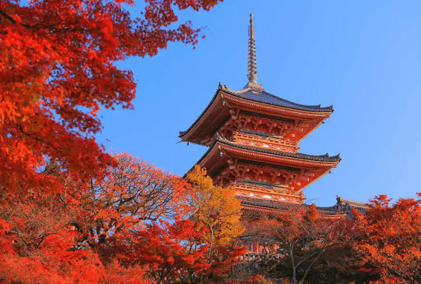 Seasonal vocabulary and expressions - Banner