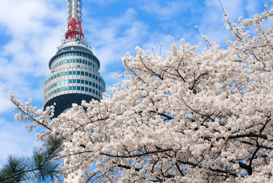 How long it takes to learn Korean at each level - Banner