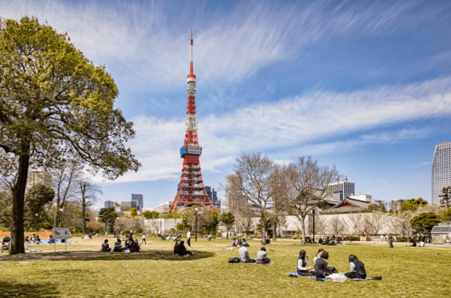 Standard Japanese vs Tokyo dialect - Banner