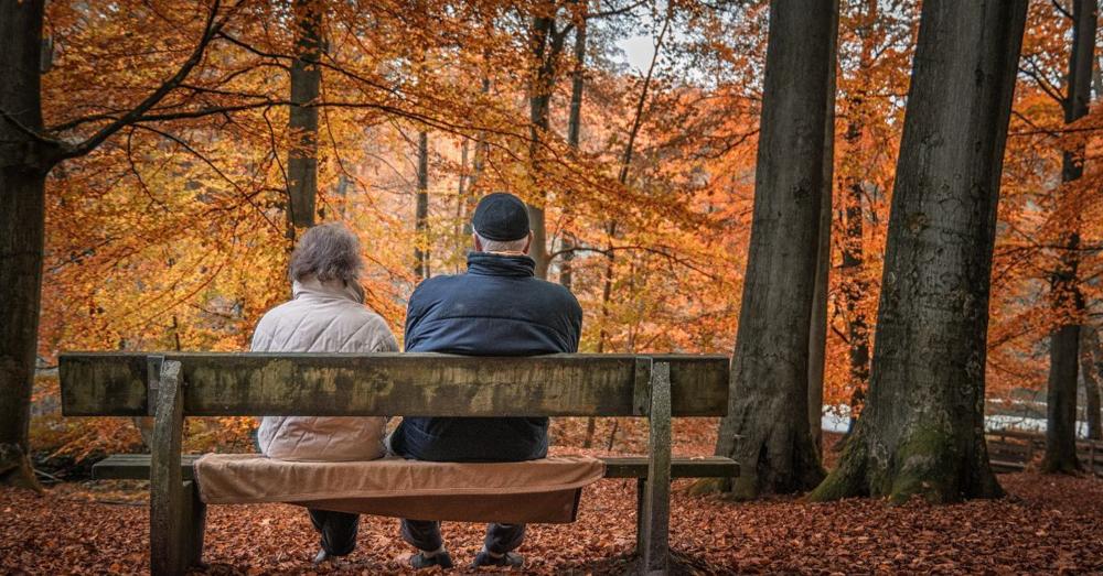 Retirement Visa Options in Japan: What's Actually Available
