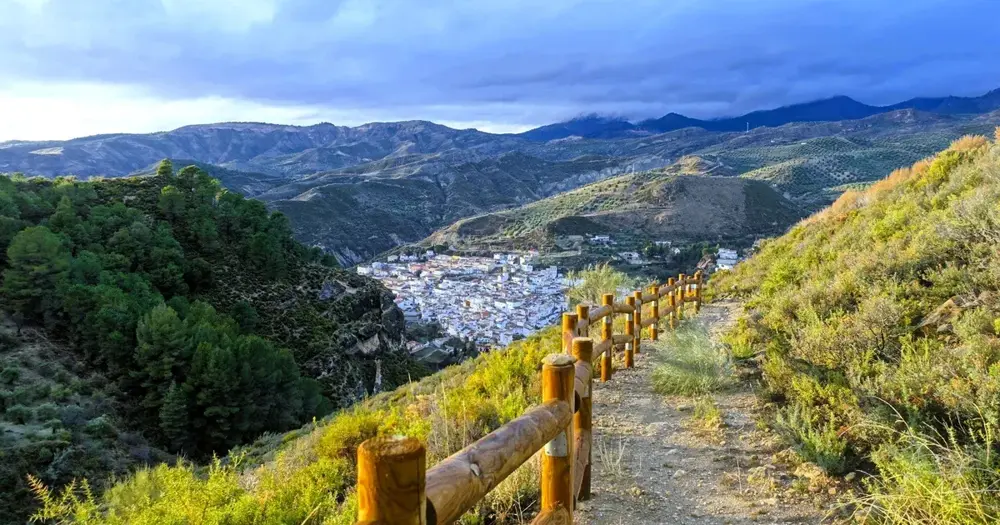 Nature and environment vocabulary in Spanish - Banner