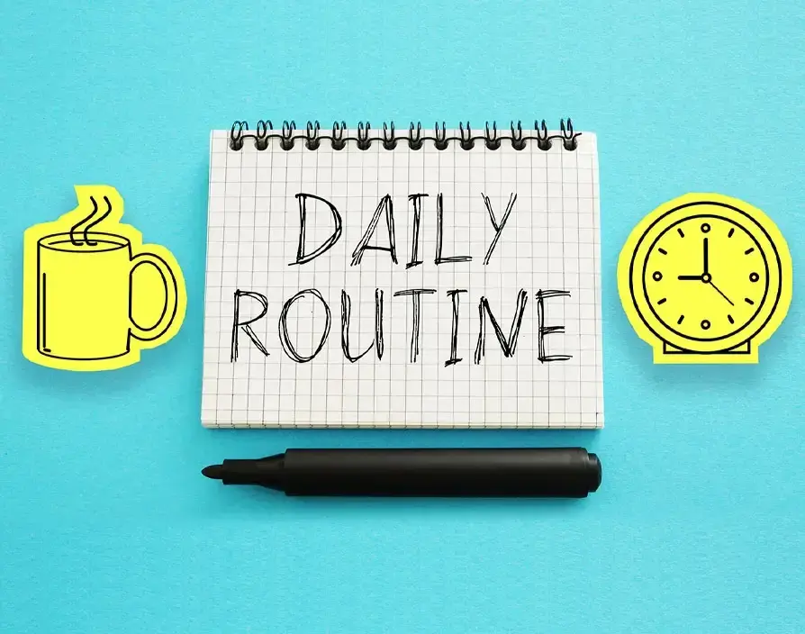 Sample daily routines for different language levels - Banner