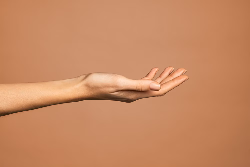 Partes de la mano y los dedos en inglés - Banner