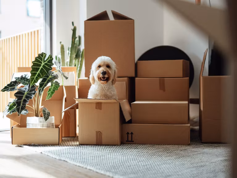 Vocabulario de mudanza en inglés: moving, packing, lease - Banner