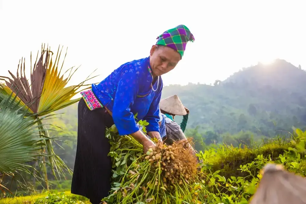 Understanding Vietnamese verb tenses and time markers - Banner