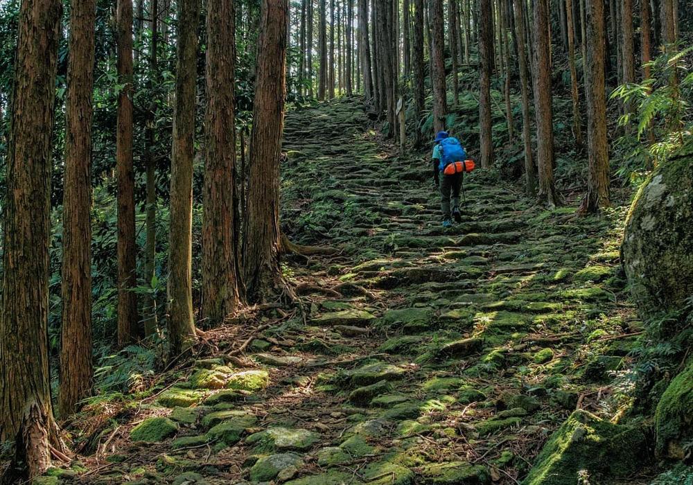 2-Week Japan Itinerary Off the Beaten Path (2026 Guide)