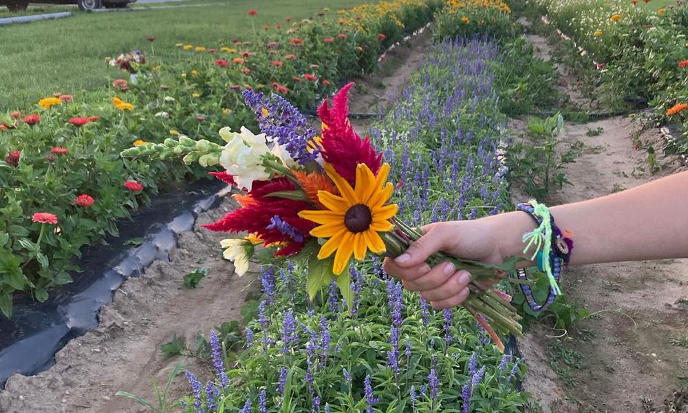 Todas las expresiones con bring en inglés: bring up, bring about, bring back - Banner