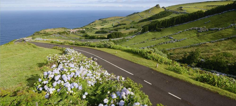 Driving in Portugal as a Foreign Resident: Licenses, Tolls, Rules