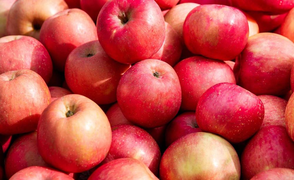 Todas las frutas en inglés con pronunciación - Banner