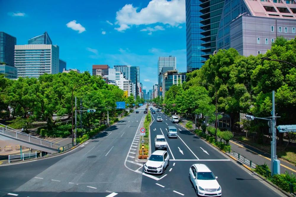 Driving in Tokyo as a Foreigner: Should You Even Bother