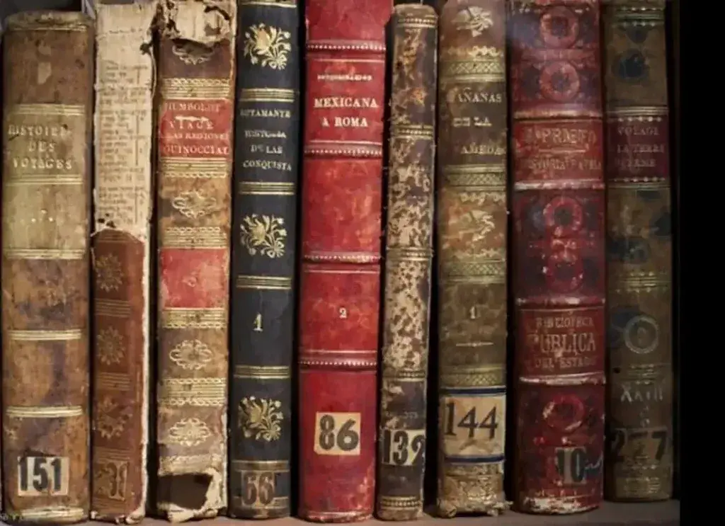 Understanding qui que dont and ou in French - Banner