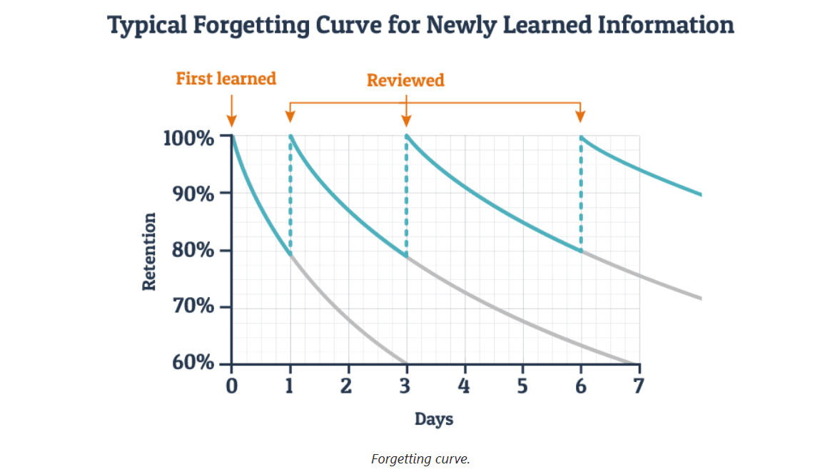 Use forgetting curve to review flashcards to learn Mandarin