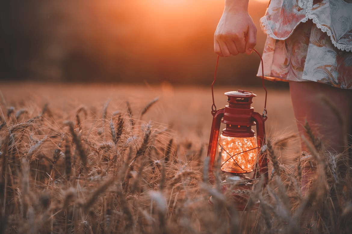 Carrying a lantern through a corn field
