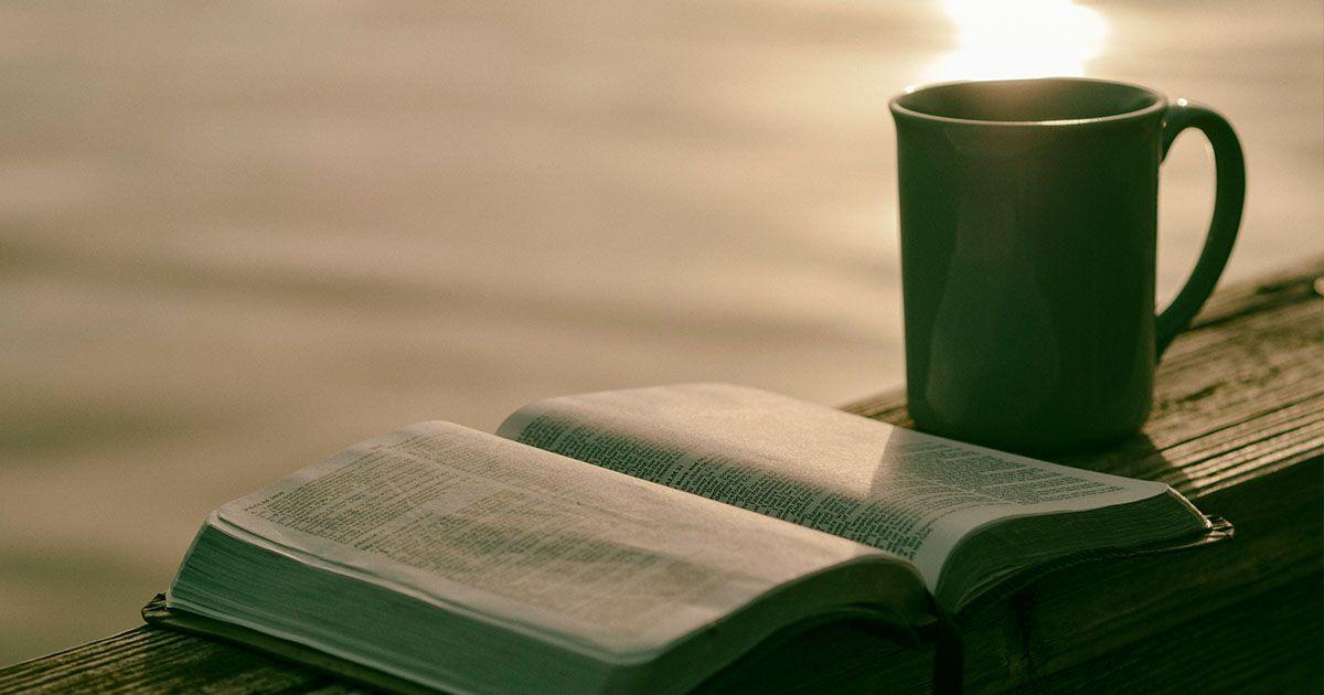 英語の本を多読しているイメージ