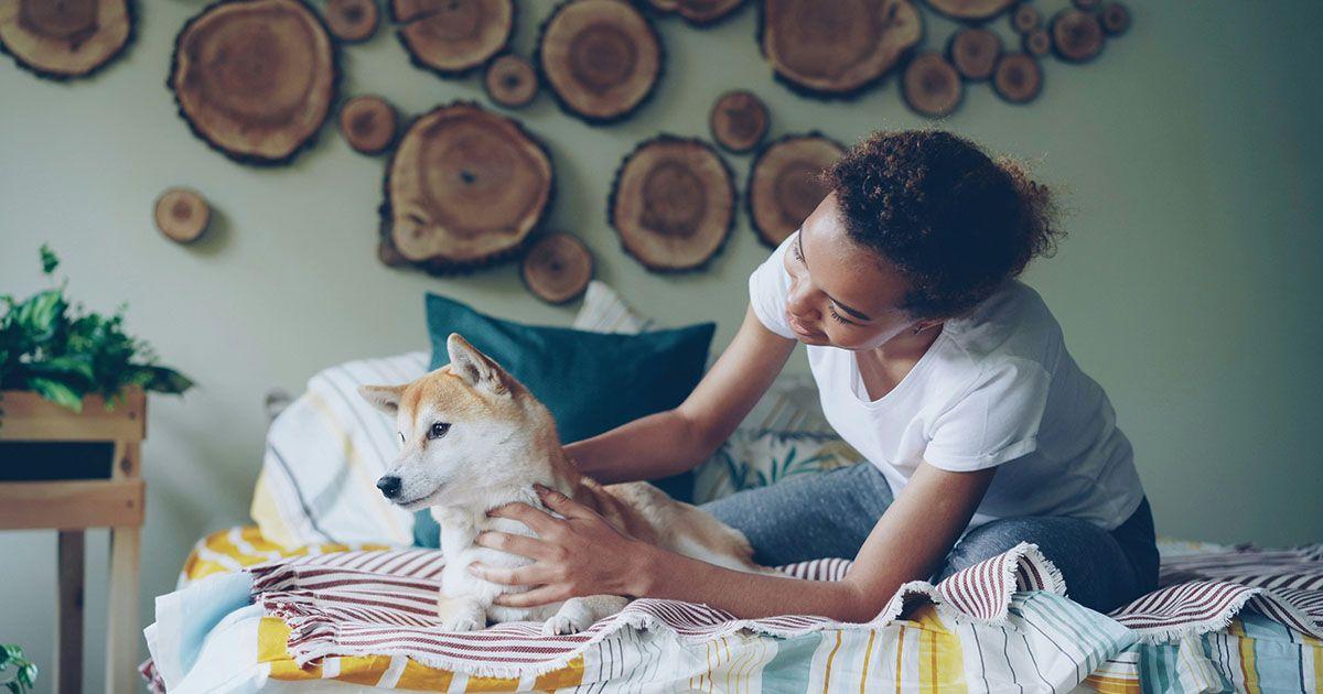 英語のlook afterのイメージ