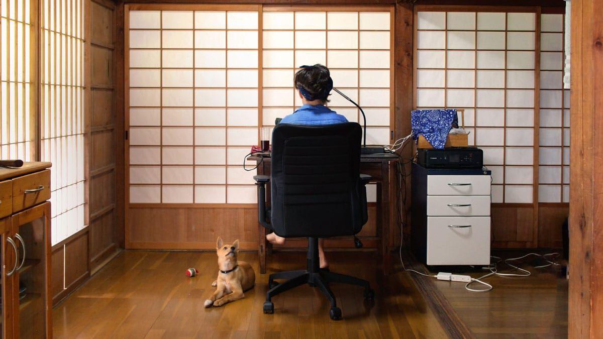 Japan Visa Rejected: Reasons and What to Do Next