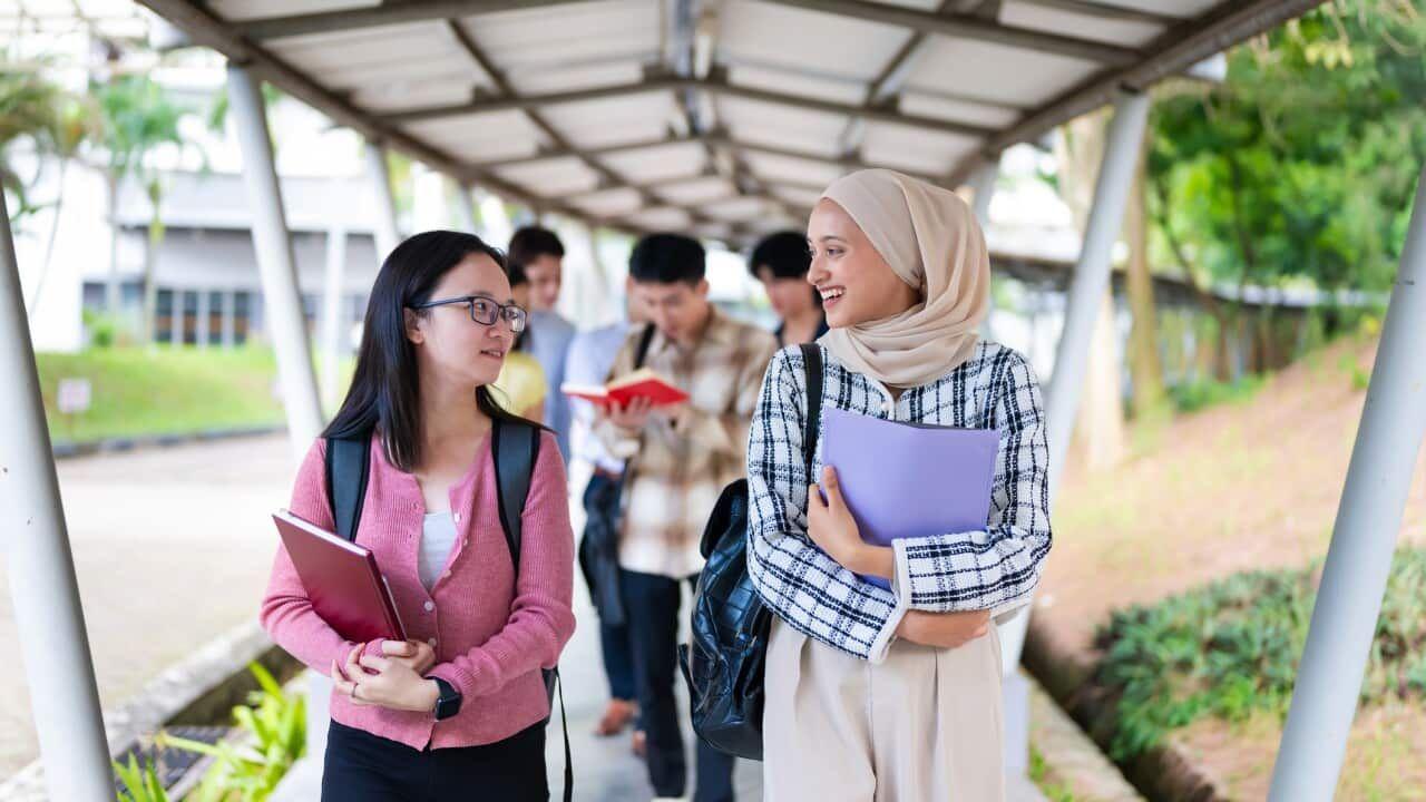 オーストラリア大学院出願に必要なIELTSスコアの目安【2026年版】