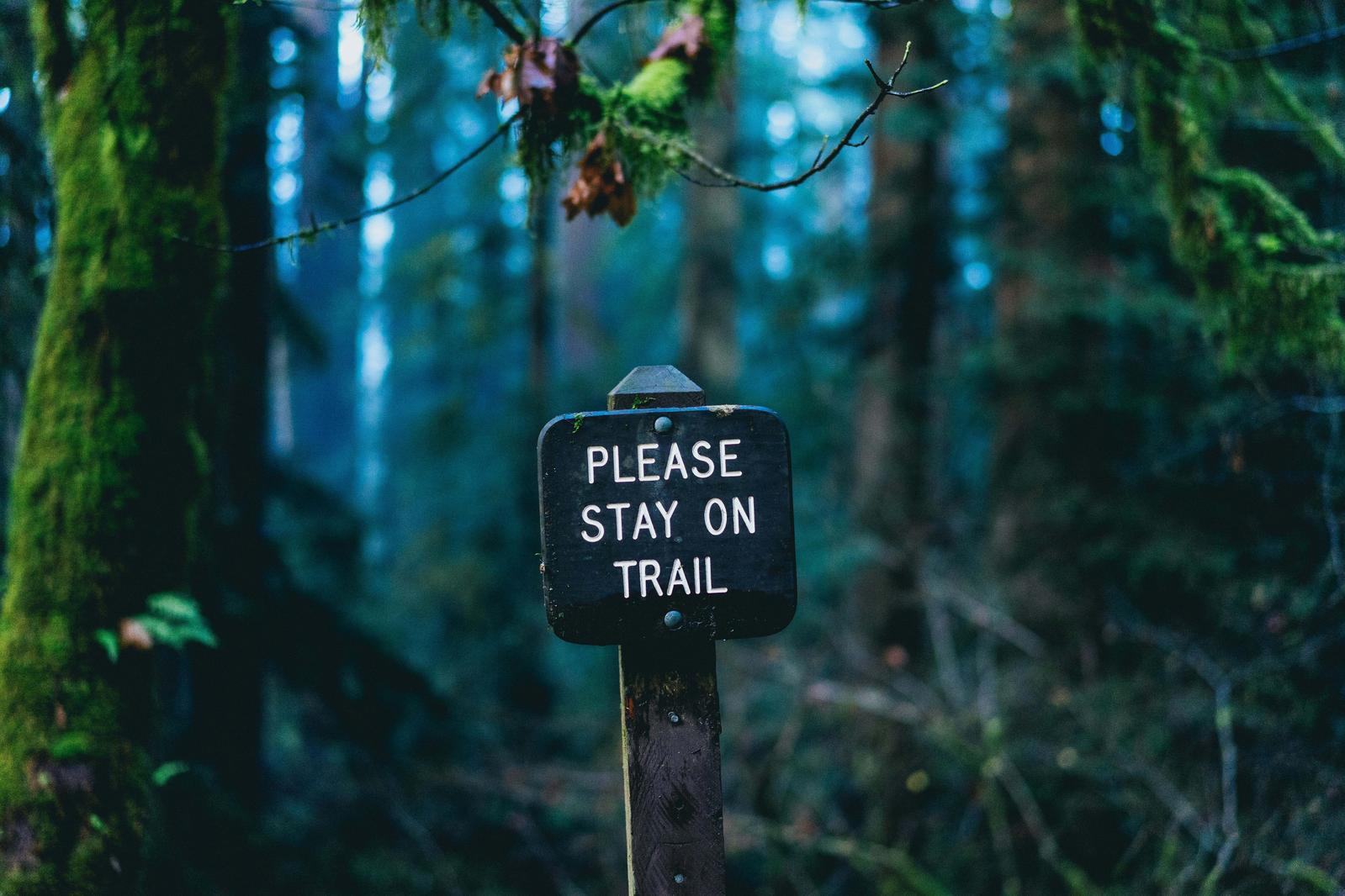 'Please stay on trail' on a sign in the forest (Unsplash: Dan Gold)