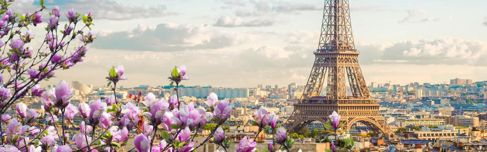 France Talent Residence Permit 2026: Complete Guide