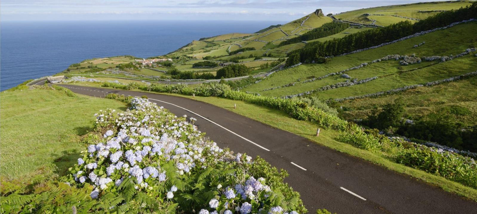 Driving in Portugal as a Foreign Resident: Licenses, Tolls, Rules