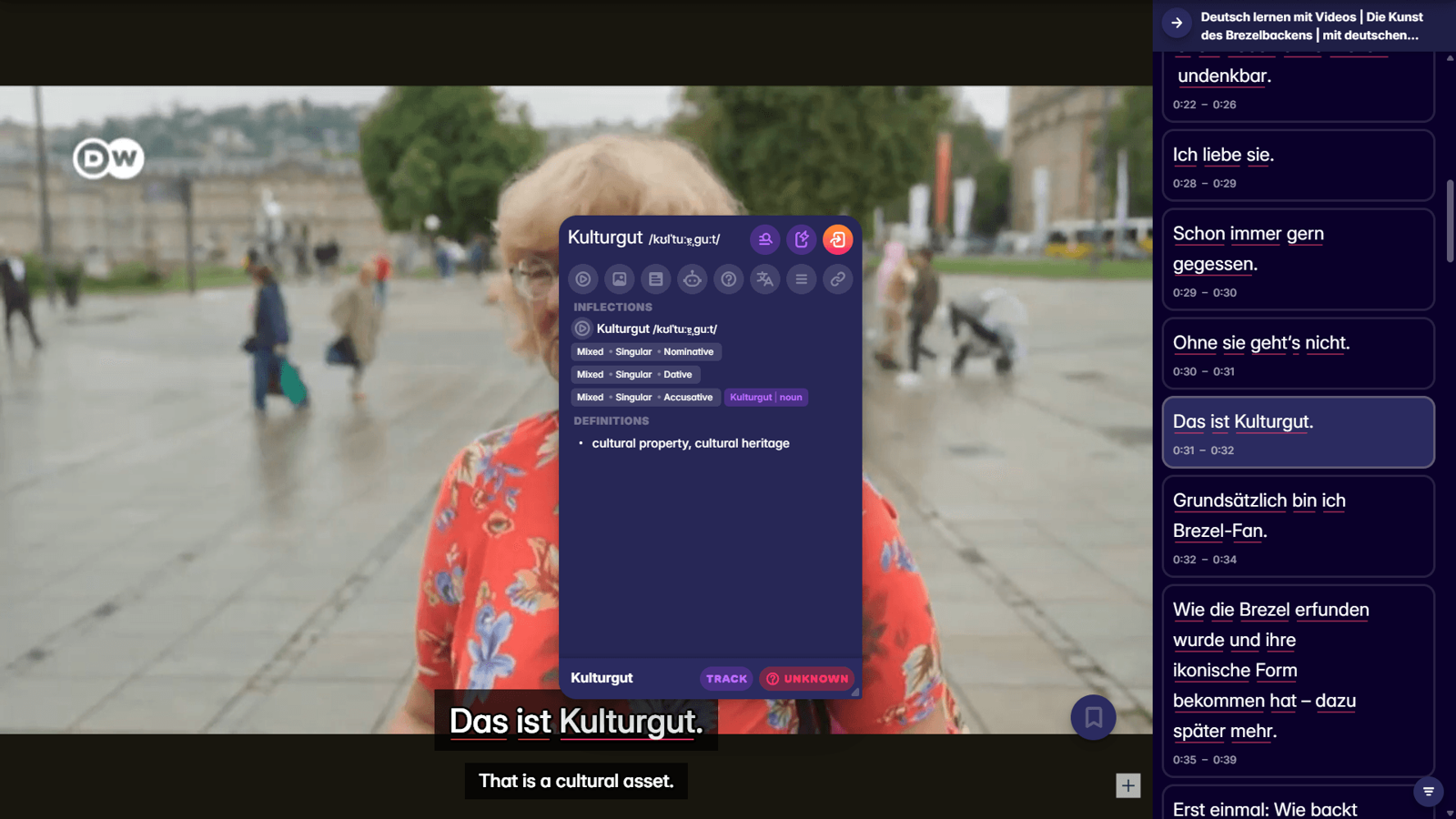 learn german grammar with migaku app and browser extension