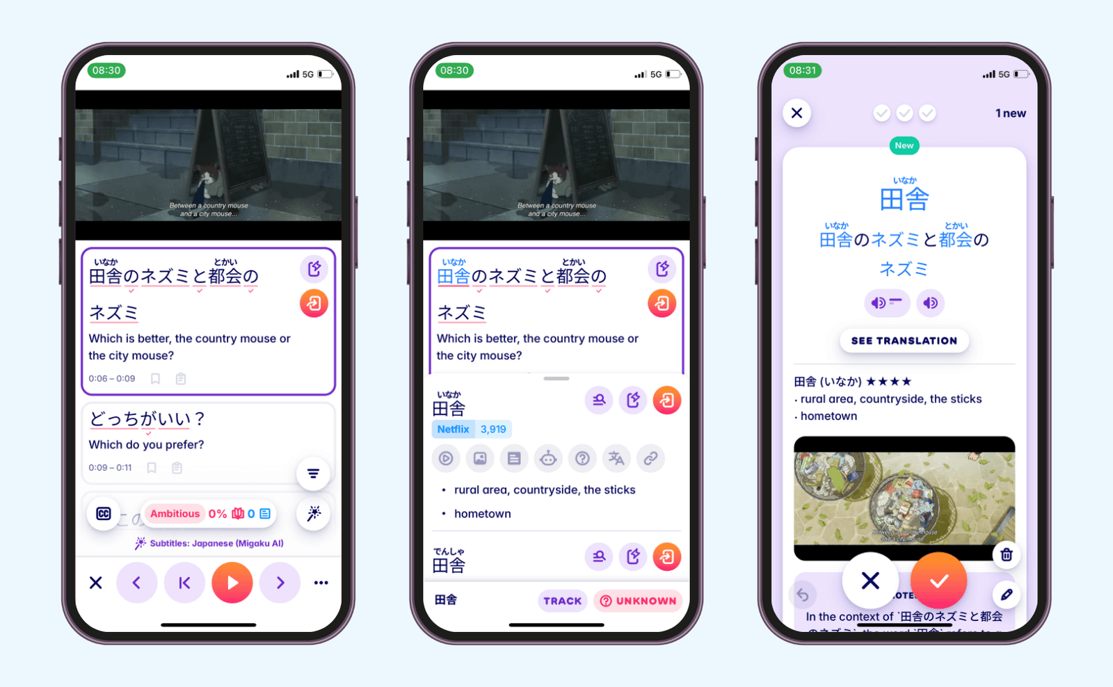 Do your JLPT test prep with Migaku