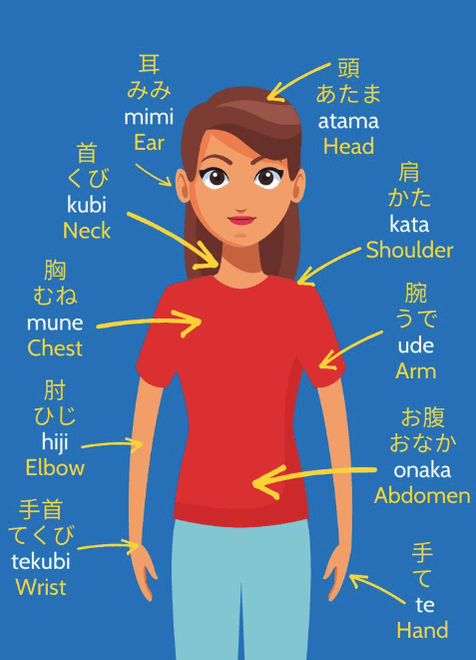 Japanese words for body parts