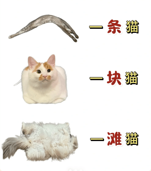 Chinese language measure words