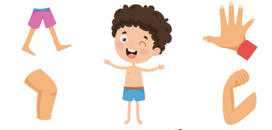 Chinese body parts: head, facial features, upper body, lower body